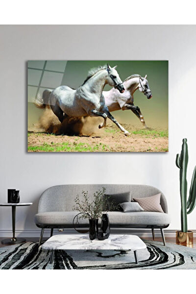 bayçağrı Cam Tablo