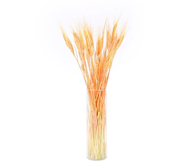 Dekorsende Yapay Çiçek, Meyve