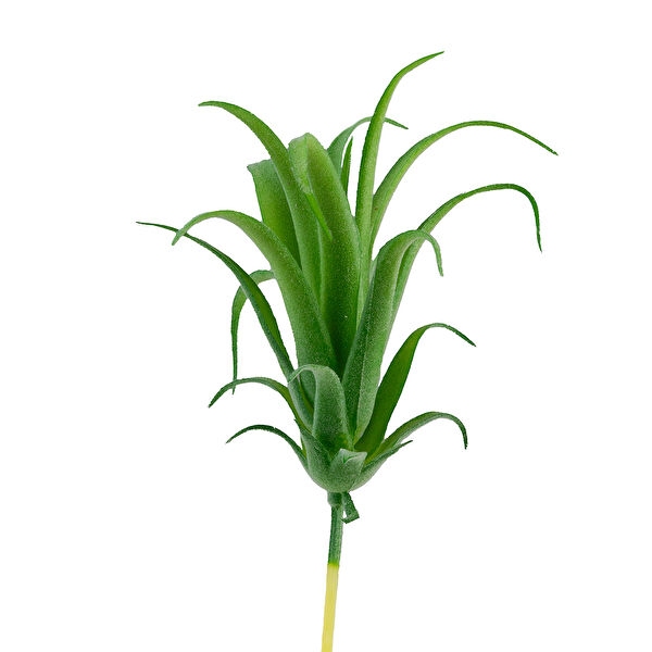 Dekorsende Yapay Çiçek, Meyve