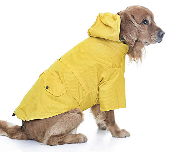 Petza Köpek Elbisesi