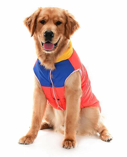 Petza Köpek Elbisesi