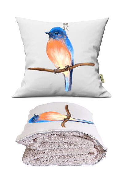 Caisya Koltuk Aksesuarları