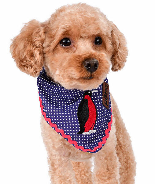 Petza Köpek Tasmaları