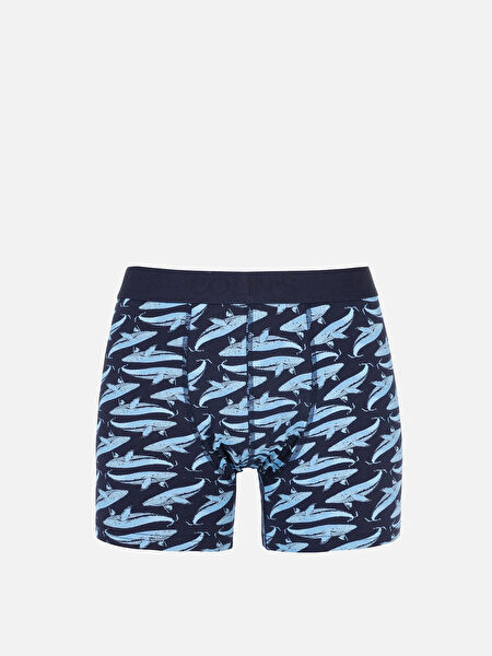 Colin's Erkek Boxer, Slip, Külot