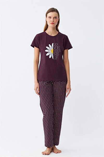 Alfa Expres Kadın Pijama