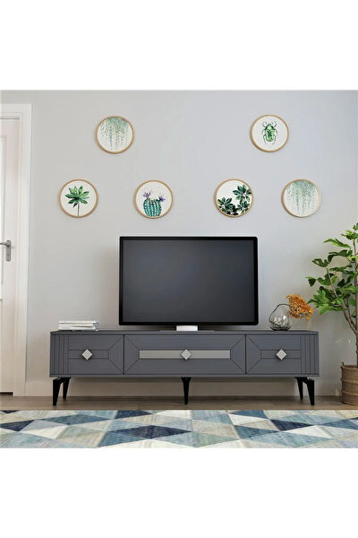 CANTEK TV Sehpası, Ünitesi