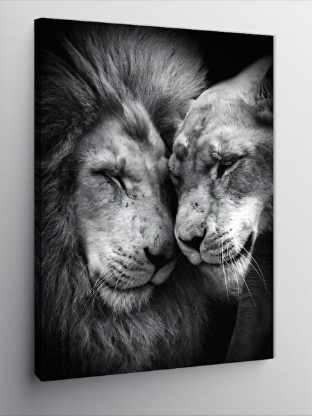 Tablomega Kanvas Tablo