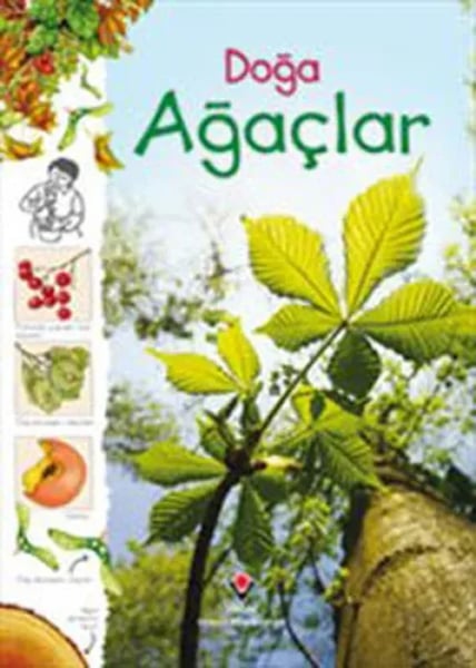 ARNEER Bilim ve Teknik Kitapları