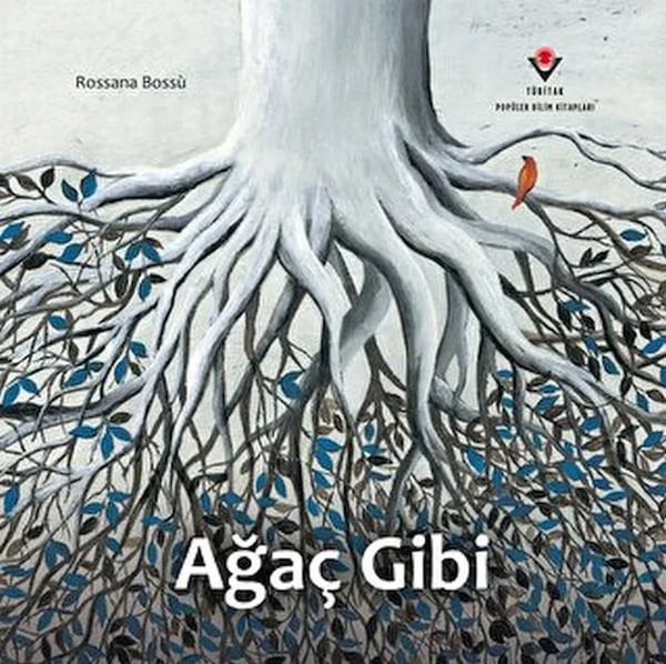 ARNEER Çocuk Şiir Kitapları