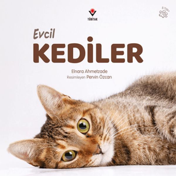 ARNEER Çocuk Şiir Kitapları