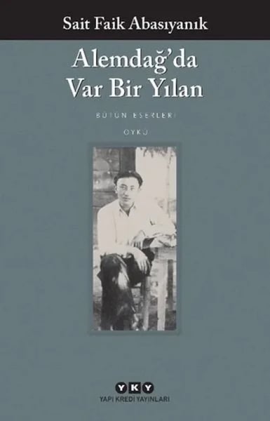 ARNEER Edebiyat Kuramı Kitapları