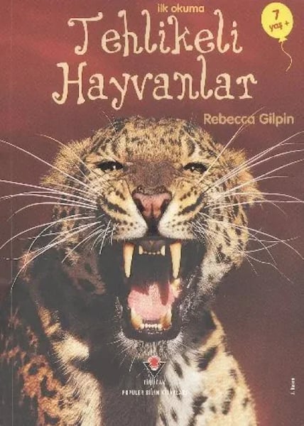ARNEER Çocuk Şiir Kitapları