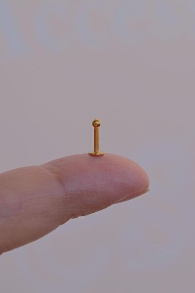 Sacce Scarves&Accessories Kadın Piercing