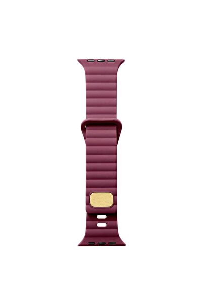 CepCase Akıllı Saat Aksesuar