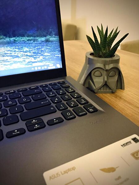 CESTOPİENO Vazo, Saksı