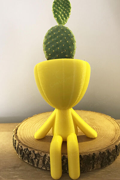 CESTOPİENO Vazo, Saksı