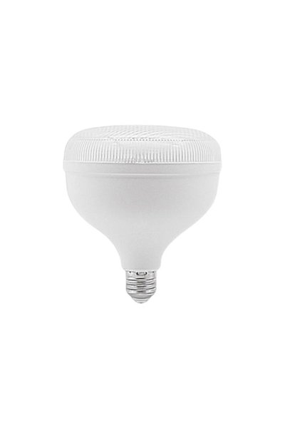 Cata Led Ampul