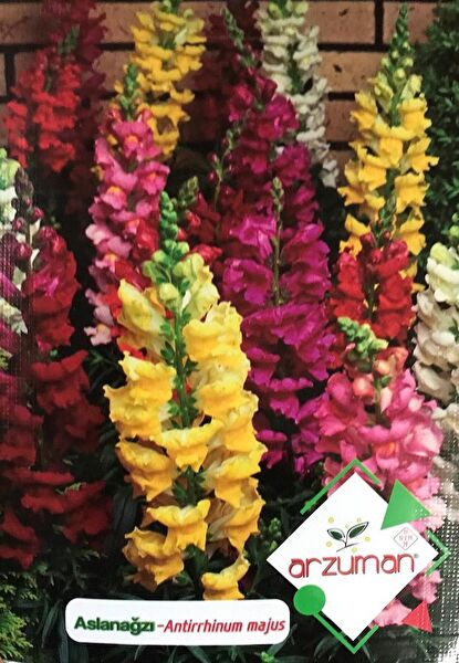 Karahasanoğlu Tarım Tohum