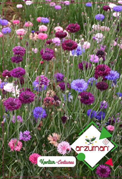 Karahasanoğlu Tarım Tohum