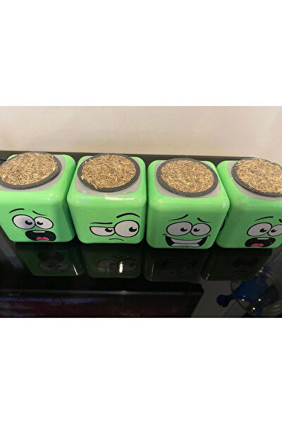 ÇEŞİT SEPETİM Bitki Yetiştirme Kiti