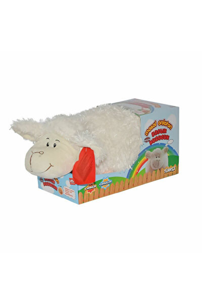 ÇEŞİT SEPETİM Eğitici Oyuncaklar