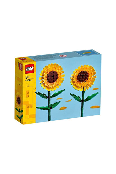 ÇEŞİT SEPETİM Lego, Yapı Oyuncakları