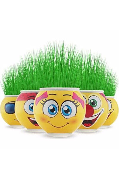 ÇEŞİT SEPETİM Bitki Yetiştirme Kiti