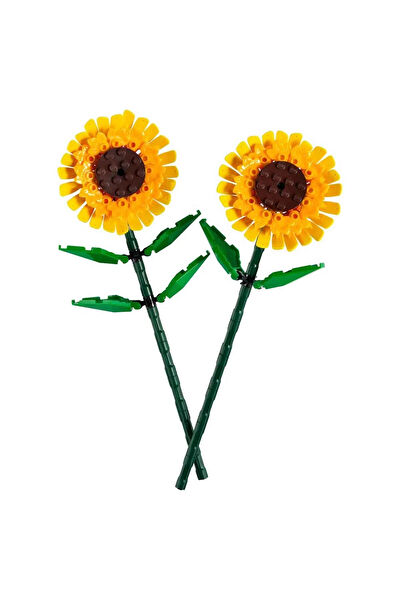 ÇEŞİT SEPETİM Lego, Yapı Oyuncakları