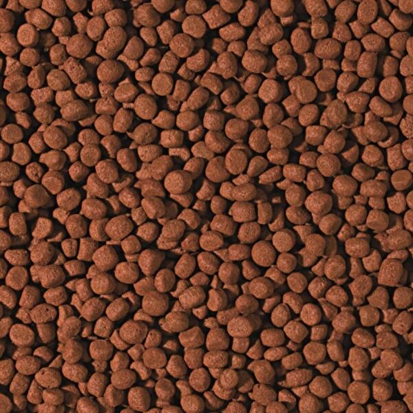 Tropical Balık Yemi