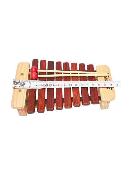 Donizetti Perküsyon