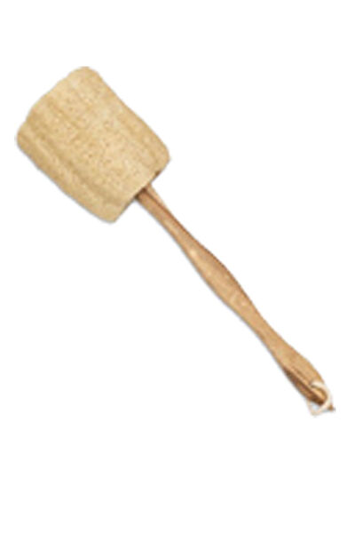 Zencefil Organik Banyo Lifi, Süngeri