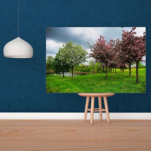 Deko Genç Kanvas Tablo