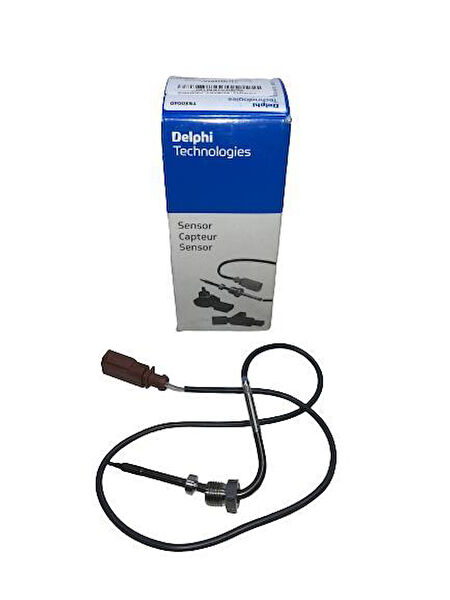 Delphi Merkezi Kilitleme Sistemleri