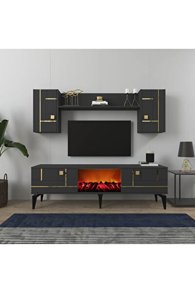 DEMONTEHOME TV Sehpası, Ünitesi