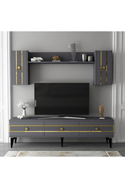 DEMONTEHOME TV Sehpası, Ünitesi