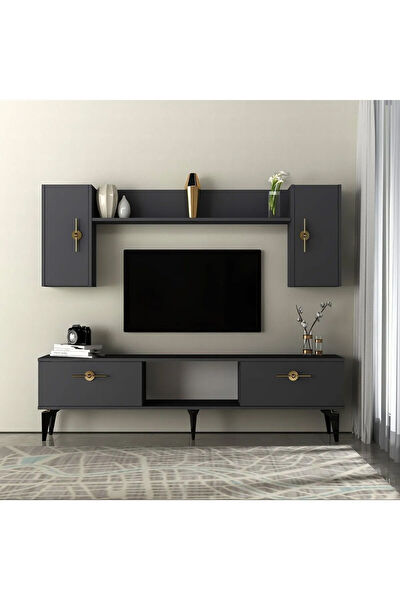 DEMONTEHOME TV Sehpası, Ünitesi