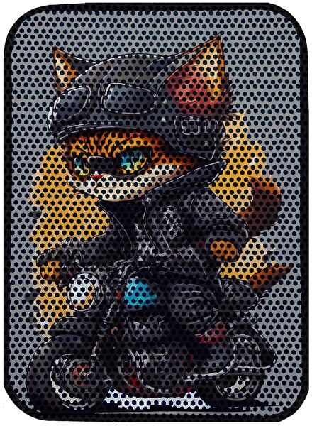 Aktunç Kedi Tuvaleti, Aksesuarları