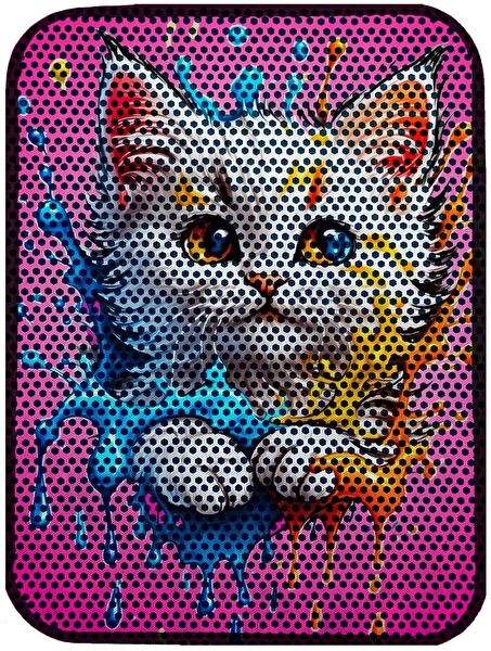 Aktunç Kedi Tuvaleti, Aksesuarları