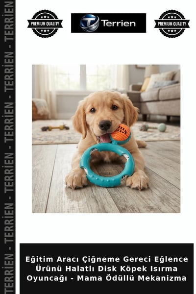 Terrien Köpek Oyuncakları