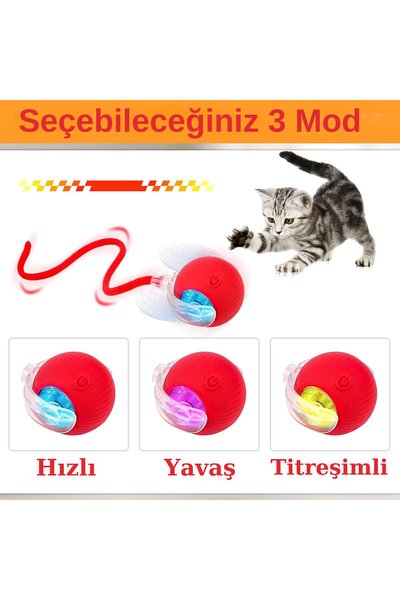 Mestore Kedi Oyuncakları