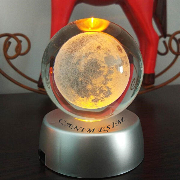 Çılgıntrend Akvaryum Dekoratif Malzemeler