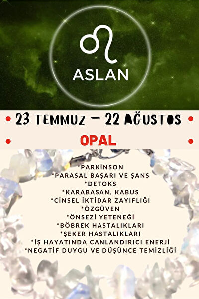 Doğal Taş Dünyası Bileklik