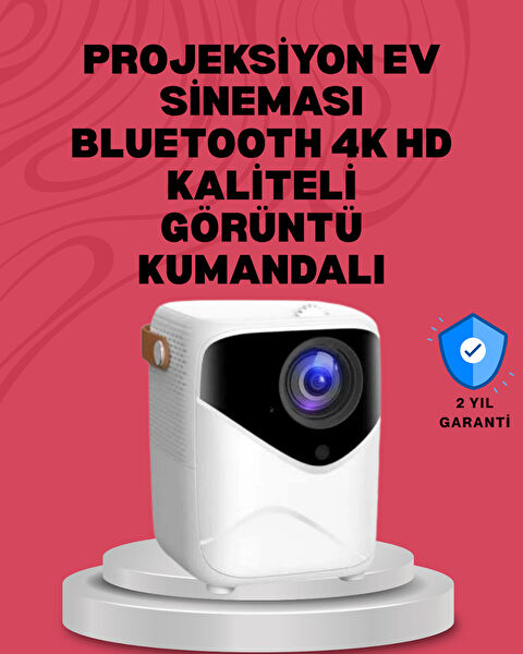 OEM Projeksiyon Cihazı