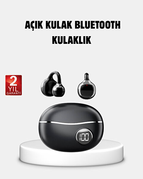 OEM Bluetooth Kulaklık