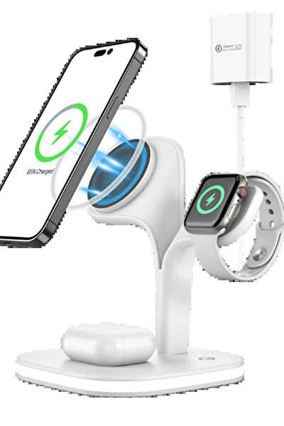 OEM Kablosuz Şarj Aleti, Alıcı