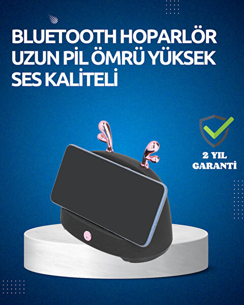 OEM Ses Sistemleri, Hoparlörler