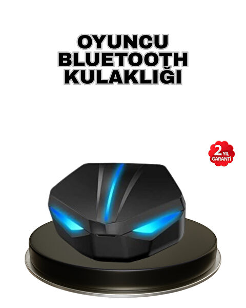 OEM Bluetooth Kulaklık