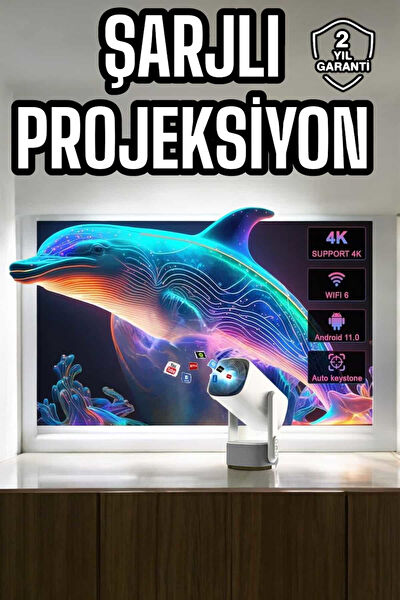 OEM Projeksiyon Cihazı