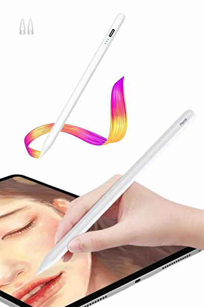 OEM Tablet Kalemleri