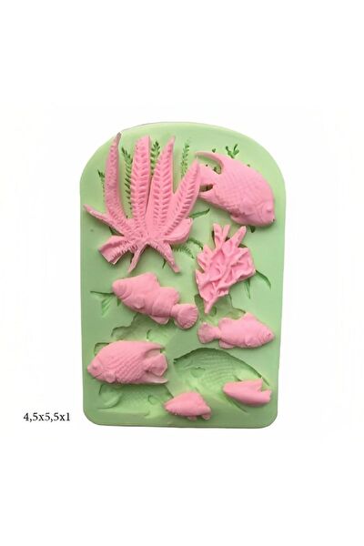 Butedo Kurabiye, Çikolata Kalıbı